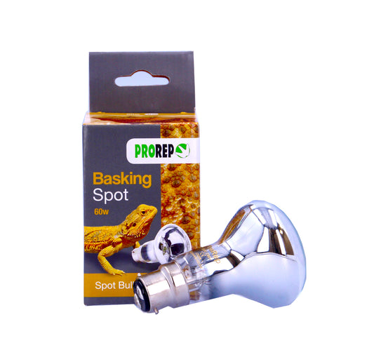 ProRep Basking Spot Lamp 60W BC