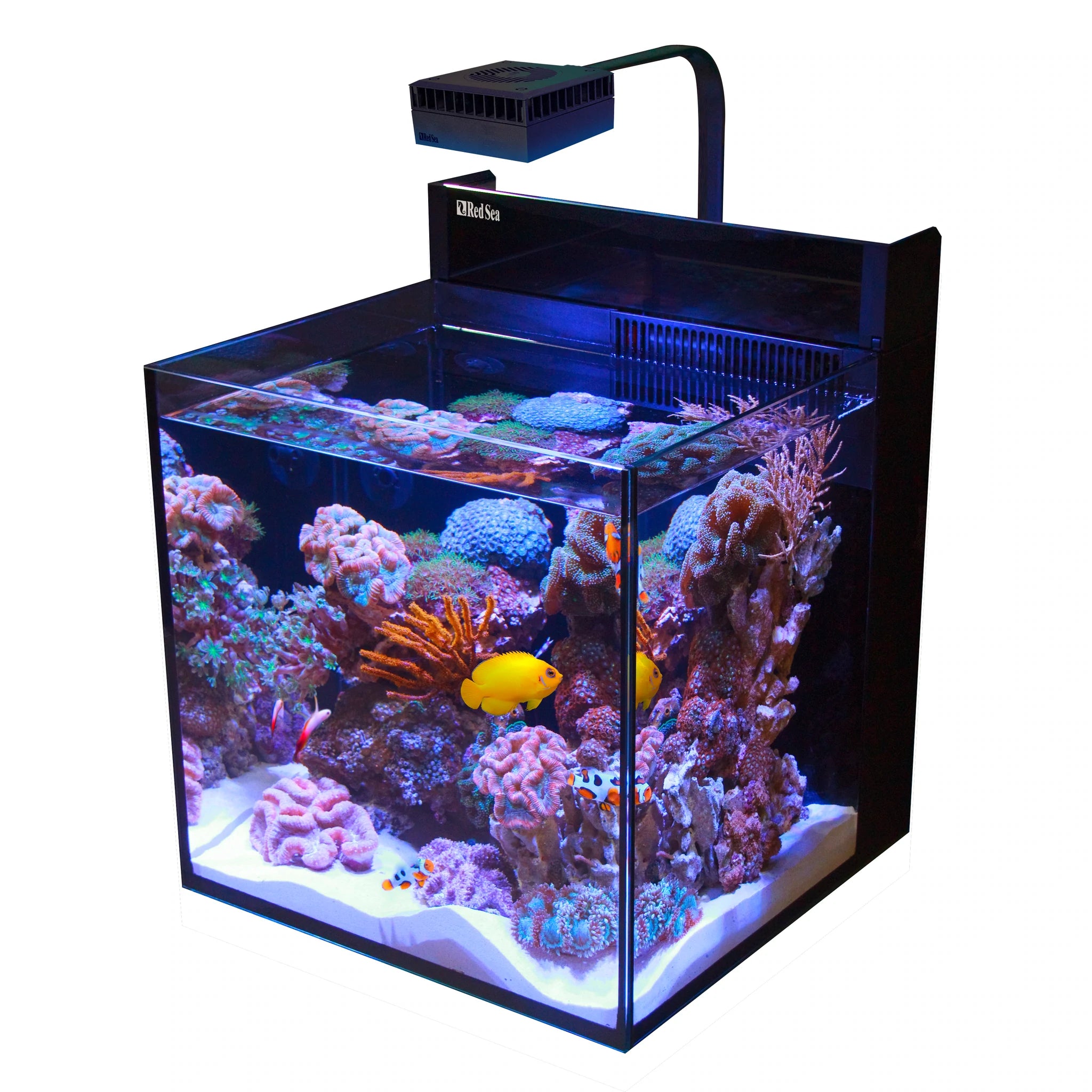 SuperFish Home 8 Aquarien Set inkl. LED, und Filter-Pumpe