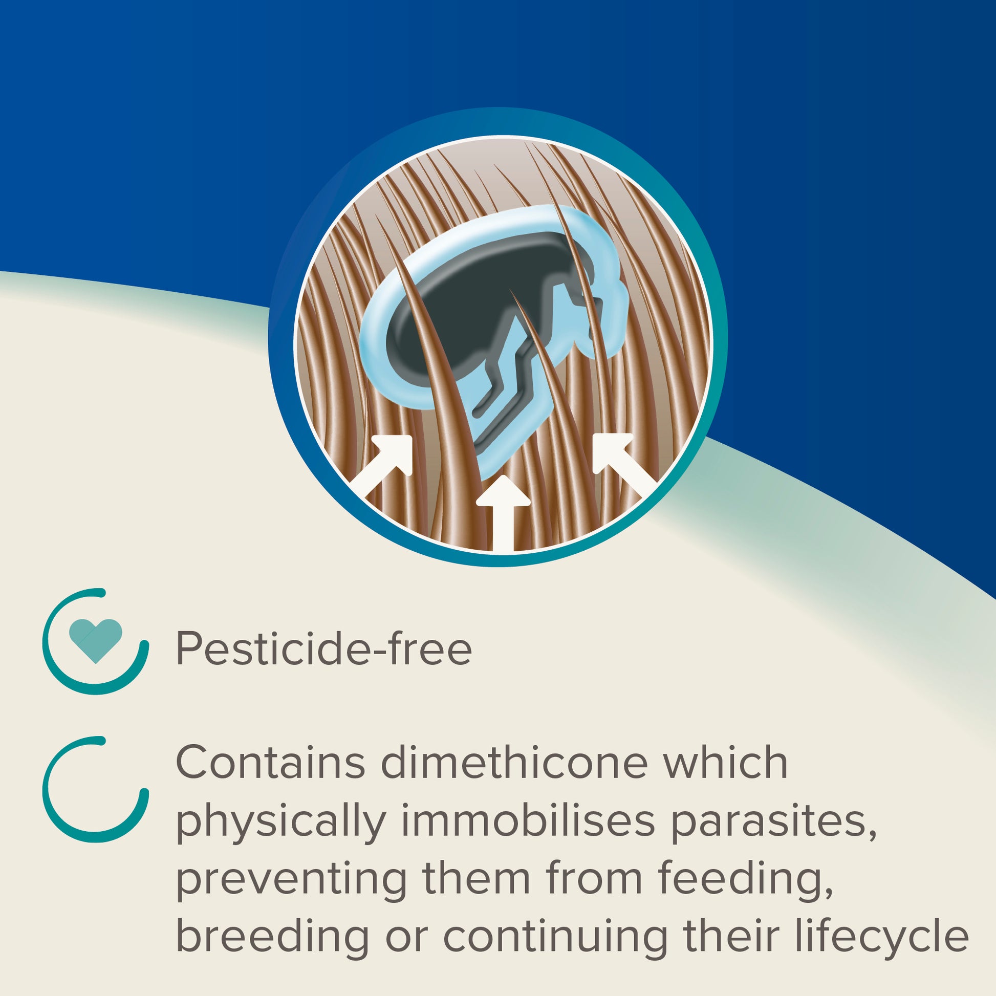DIMETHICARE LINE ON FLEA TREATMENT RABBITS GUINEA PIGS FERRETS