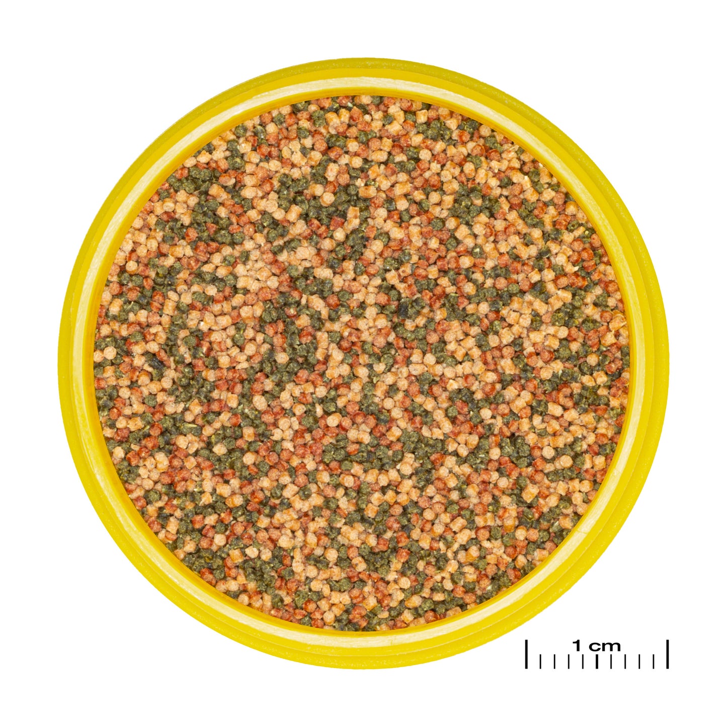 JBL PRONOVO Prebiotic Balanced Staple Tropical Fish Food 1000ml exp 05/26