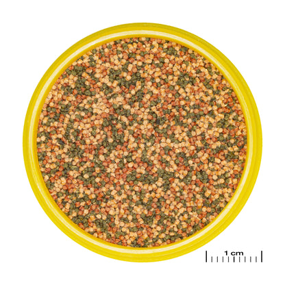 JBL PRONOVO BEL Prebiotic Balanced Staple Tropical Fish Food 1000ml exp 05/26