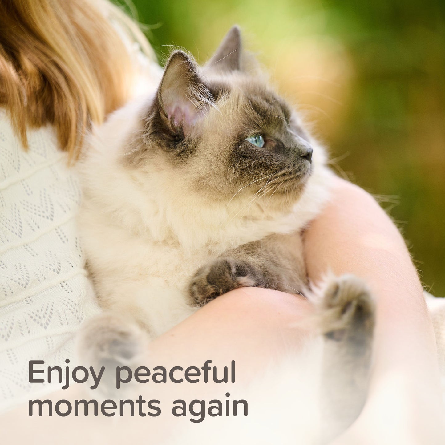 Beaphar Calming Cat Treats, Chicken Flavor, 35g