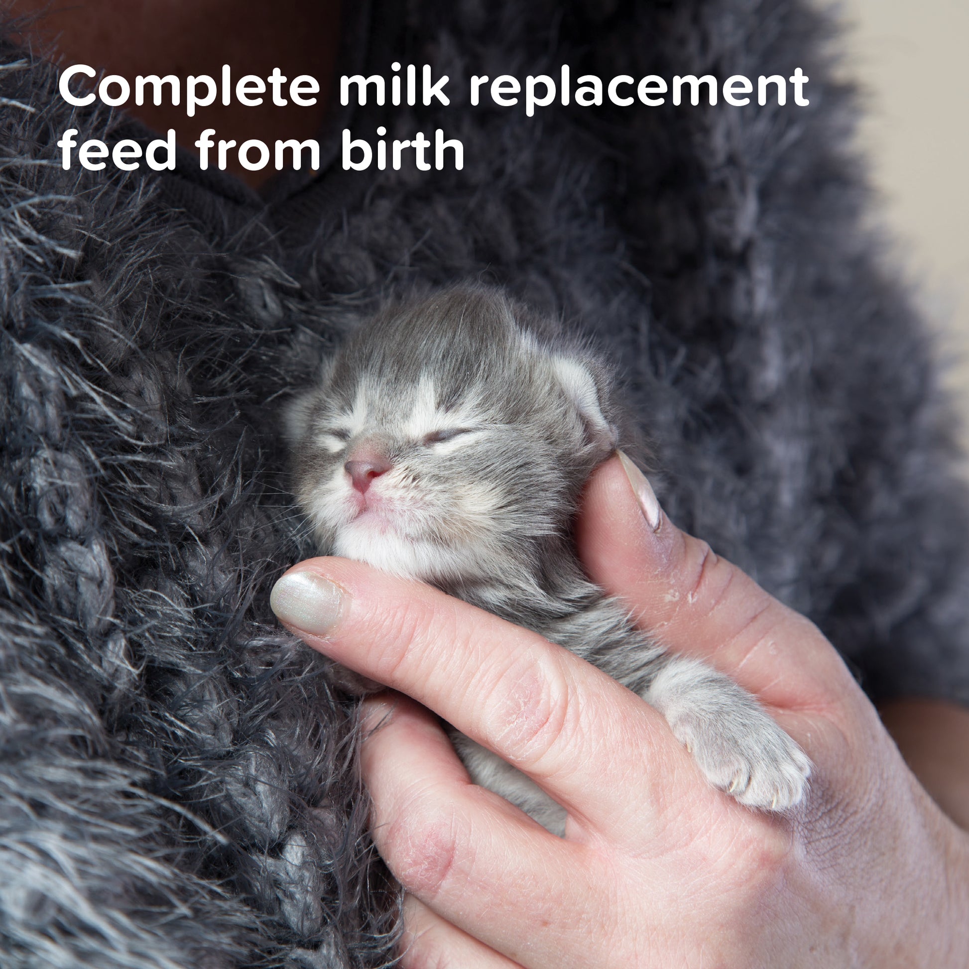 Beaphar Lactol Kitten Milk 500g