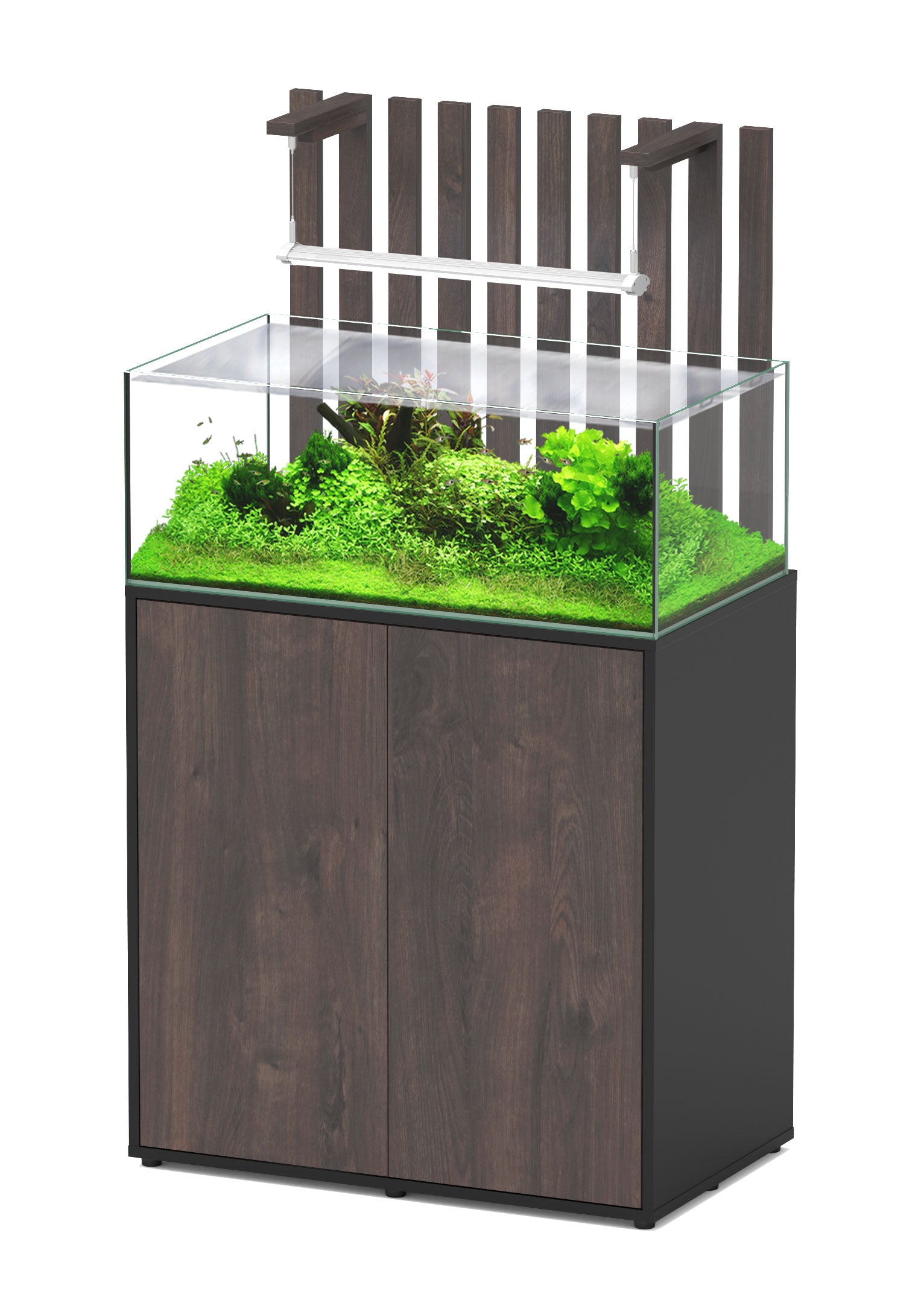 Shallow Aquascape 80 Aquarium