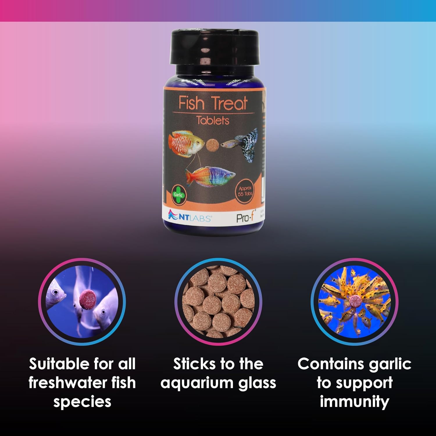 Nt Labs Pro-F Fish Food Treat Tablets 40g