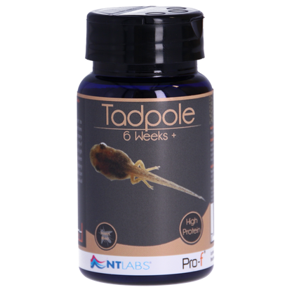 NT Labs Tadpole Food 6 weeks+