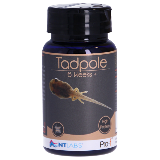 NT Labs Tadpole Food 6 weeks+