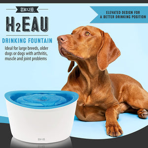 Zeus H2eau Dog Drinking Fountain