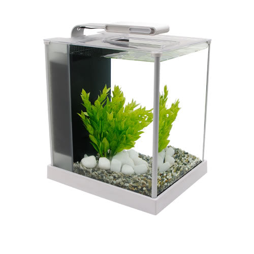Fluval 10L White Spec Tank 10517