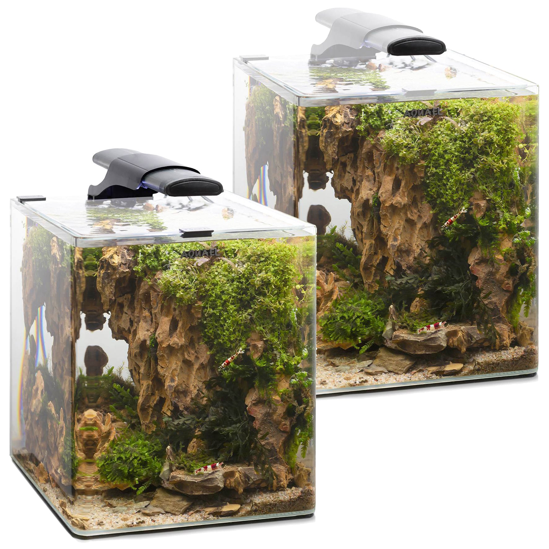 Aquael Optibent 20 Aquarium