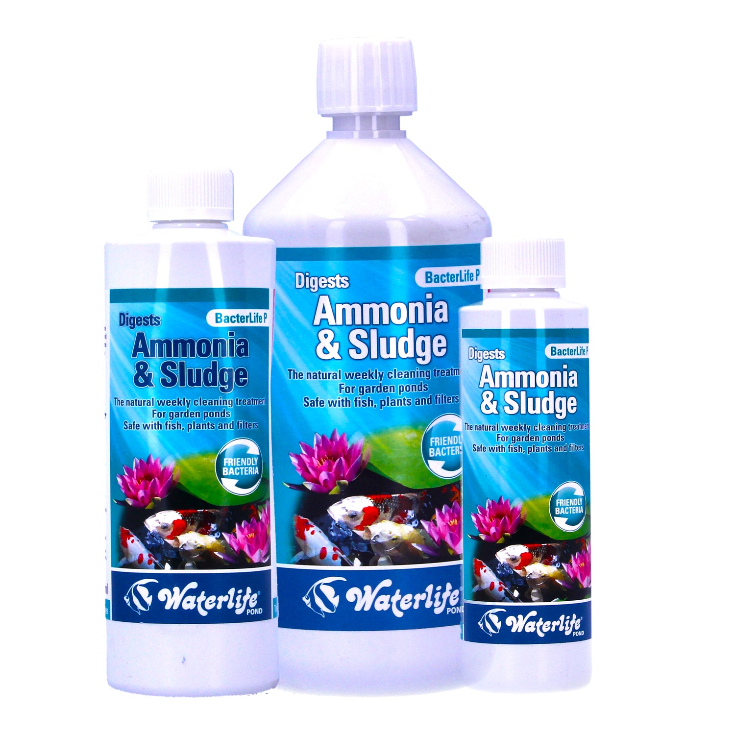 Waterlife Bacterlife P