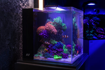 Aquaforest Nano Tank 85L Reef in the Box Complete Marine Reef Aquarium Starter Kit