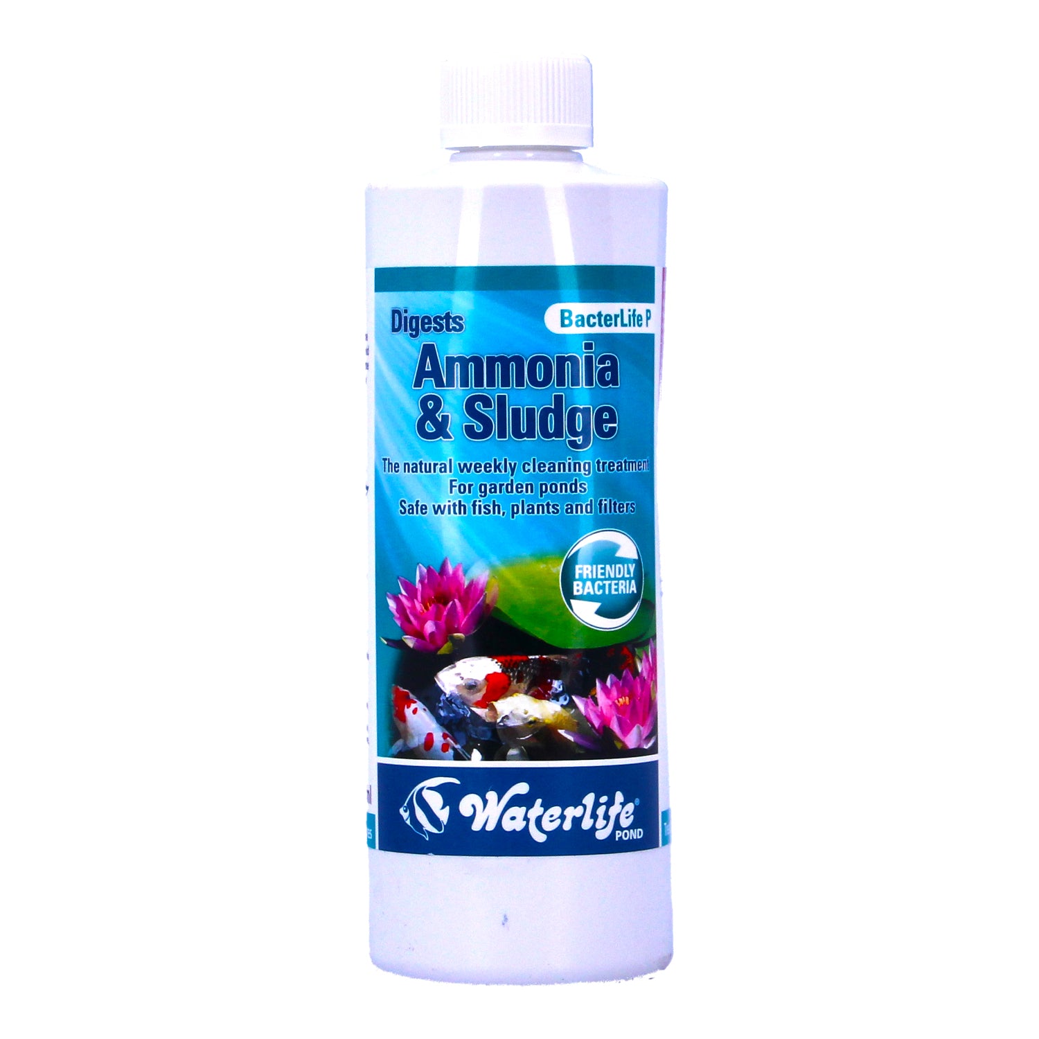 Waterlife Bacterlife P