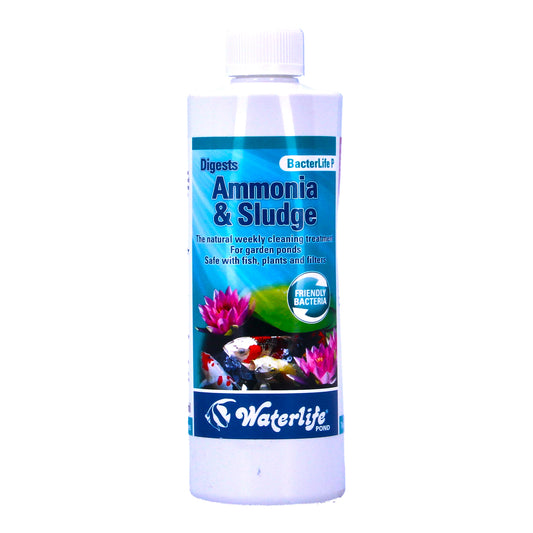 Waterlife BacterLife P Pond Bacteria Reducer (250ml/500ml/1L)