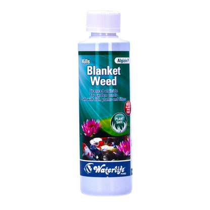 Blanketweed Bundle: Brush, Gloves & Algizin P