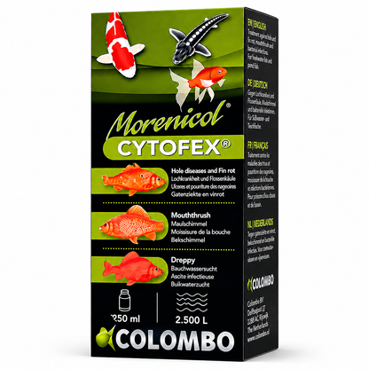 Colombo Cytofex Pond Fish Treatment | Fin Rot, Ulcers & Hole Disease Remedy