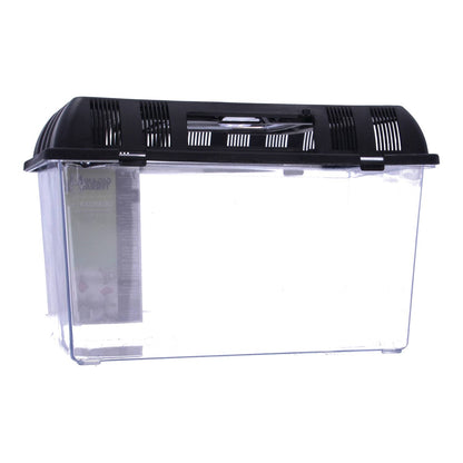 Giganterra Breeding Box M 27 x 17 x 16cm x19