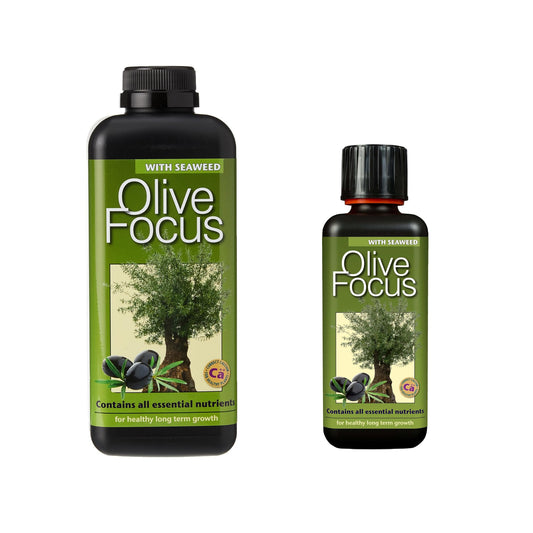 Growth Technology Olive Focus