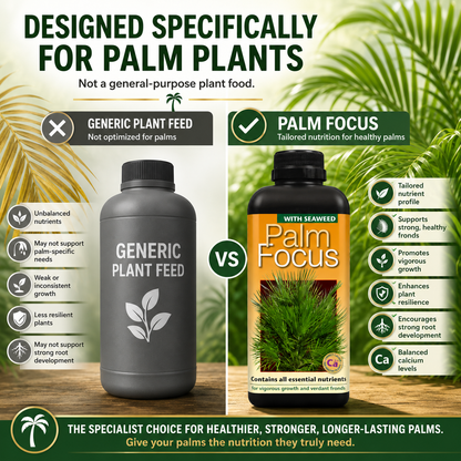 Palm Tree Fertiliser Feed For Healthy Vigorous Growth 1000 ml Palm Focus Garden