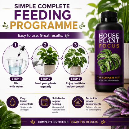 Growth Technology House Plant Focus 1L 
