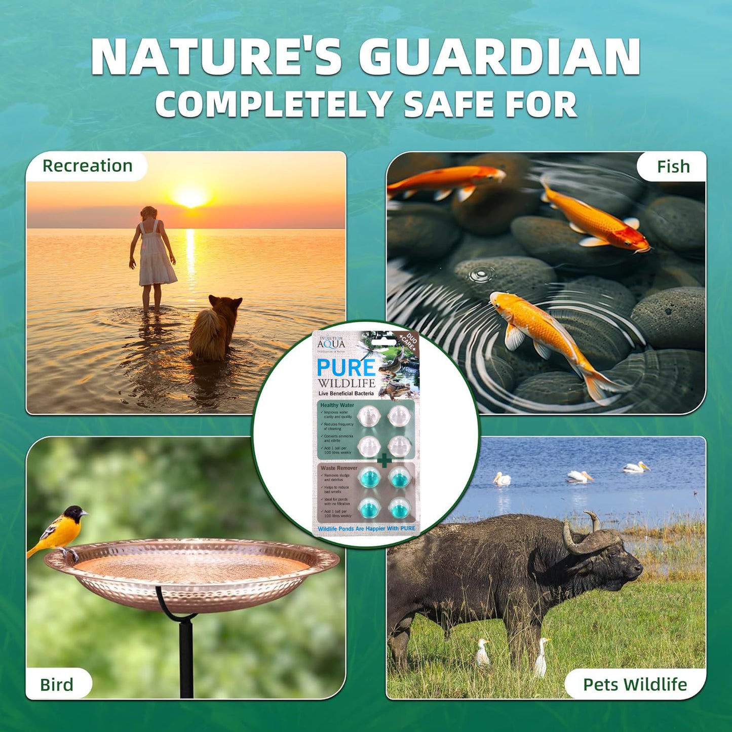 Evolution Aqua Pure Wildlife Beneficial Bacteria