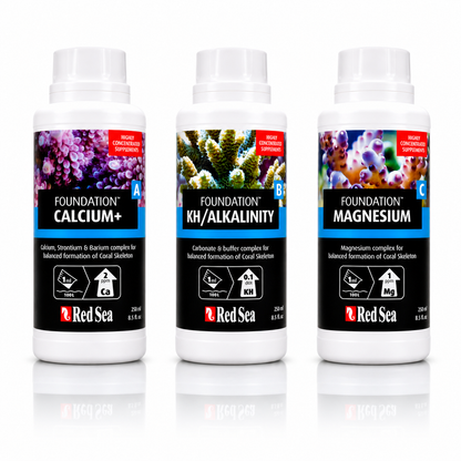 Red Sea Foundation Supplements - Complete Pack | R22006