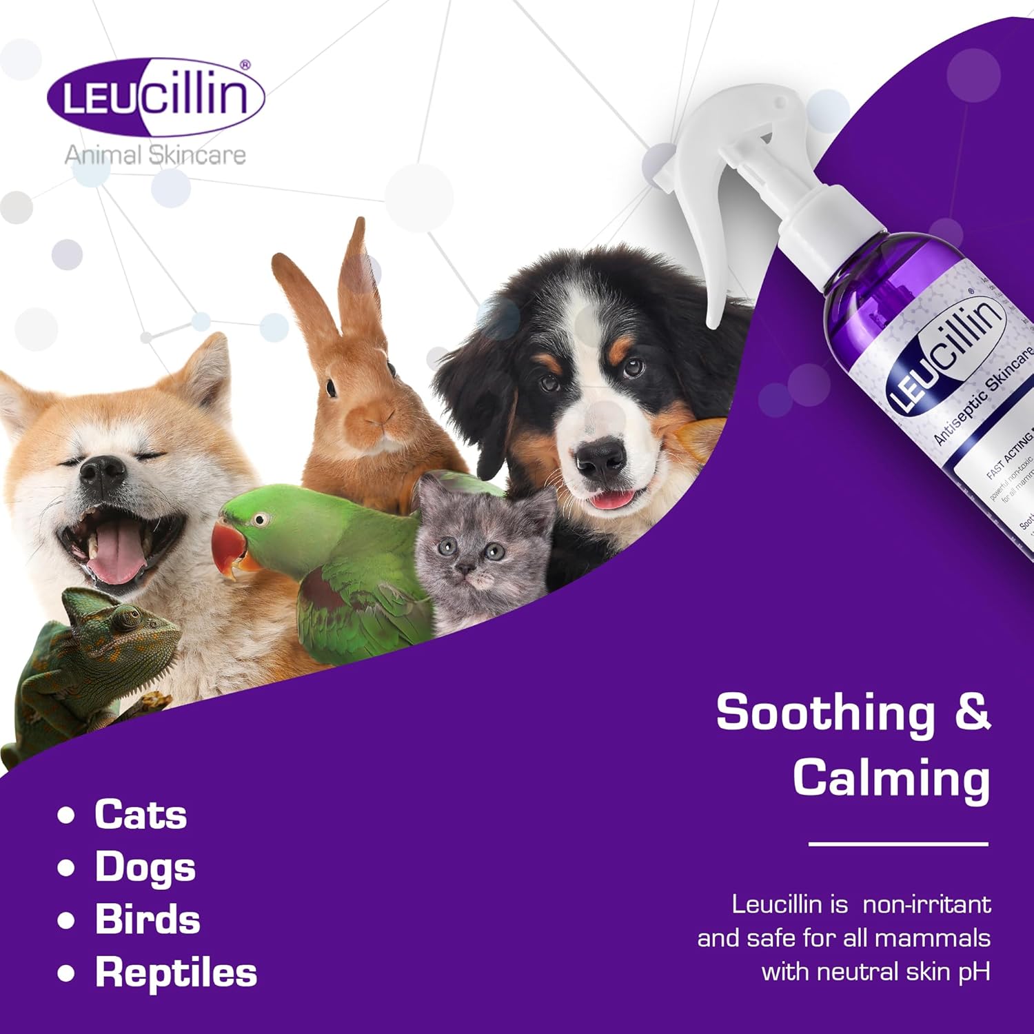 Leucillin Antiseptic Dog Cat Skin Care Solution Spray Instant Germ Killer