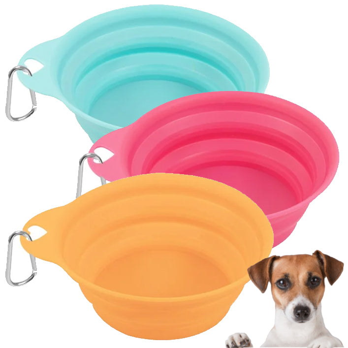 Summer Collapsible Pet Bowl with Clip