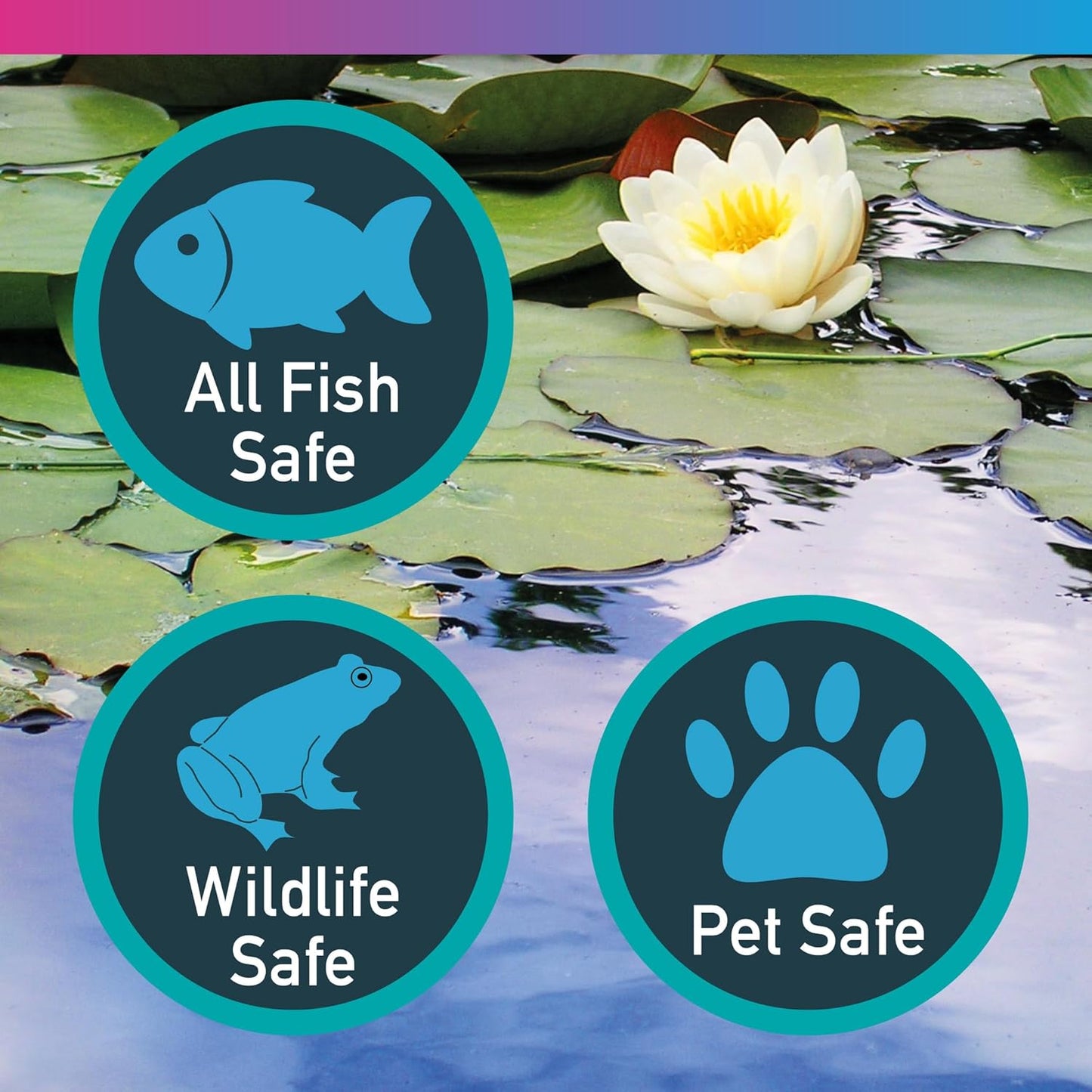 NT Labs Pond Aquasure Chlorine Remover 250ml 