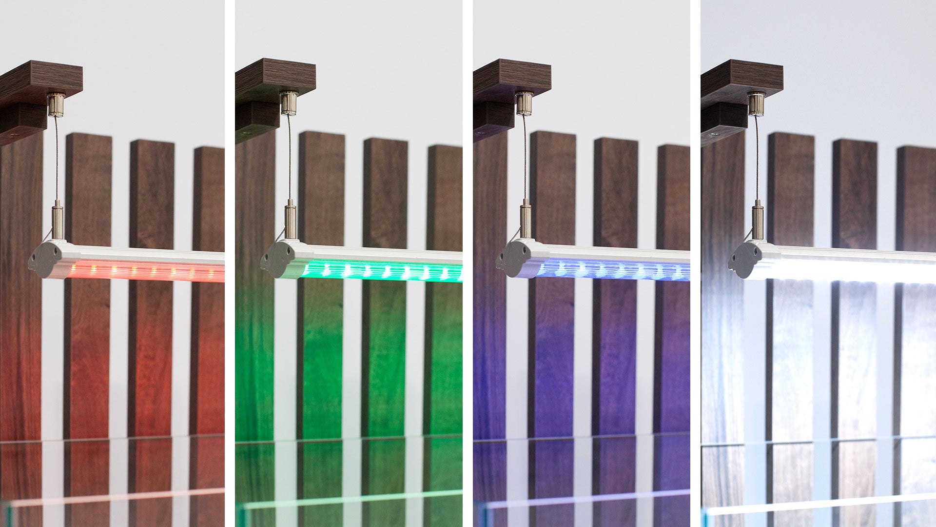 Shallow Aquascape 80 Aquarium