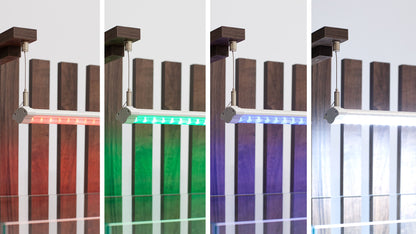 Shallow Aquascape 80 Aquarium