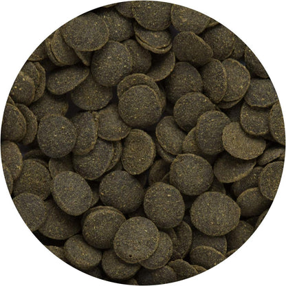 Hikari Mini Algae Wafers 22g x2 Pleco Catfish Sinking Fish Food