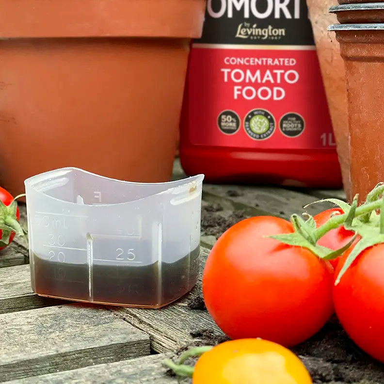 Levington Tomorite 1L +20% FREE ( 1.2L) Tomato Food