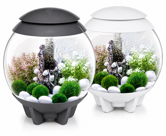 biOrb HALO 15L MCR LED Aquarium with 3D LED Lighting