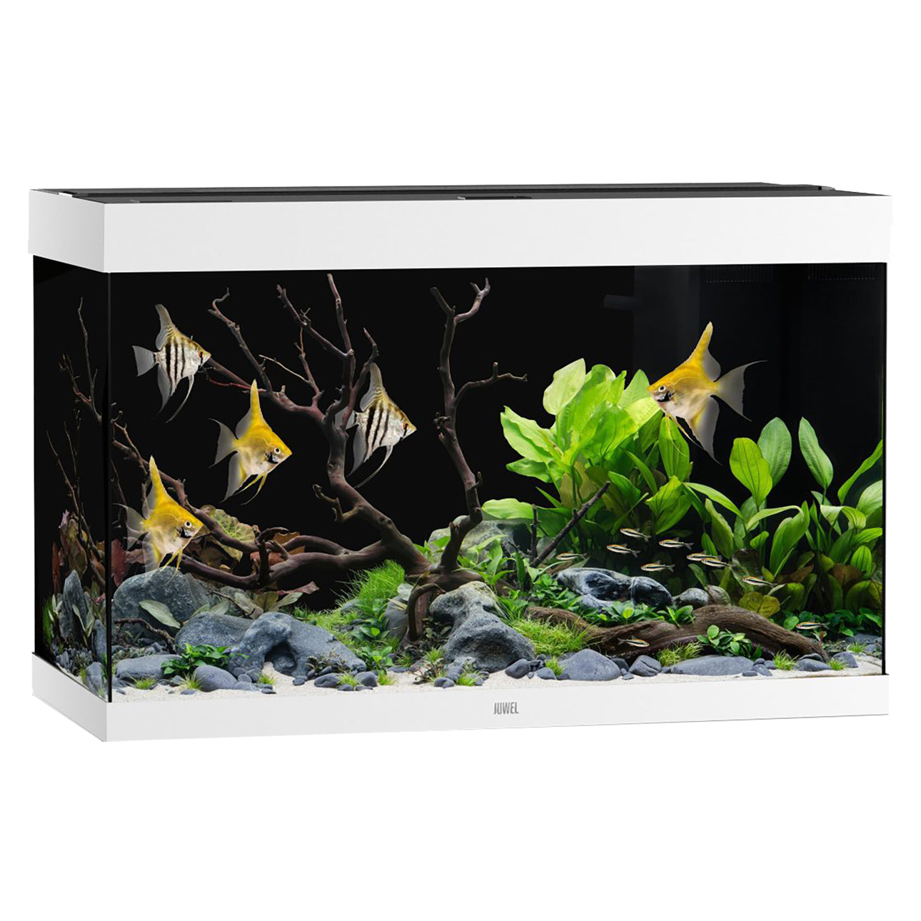 Juwel Rio 290 LED Aquarium Only