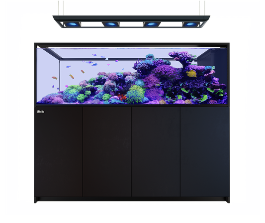 Red Sea Reefer MAX Peninsula S-950 G3 Aquarium