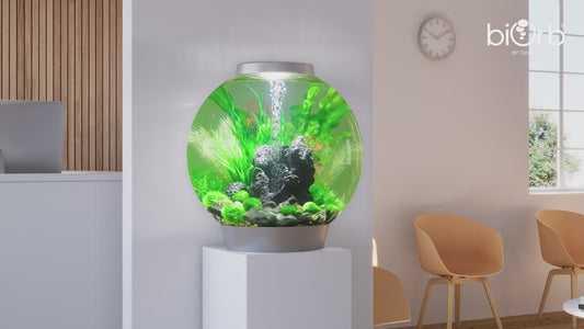 biOrb Classic MCR 15L Aquariums
