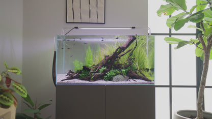 Oase HeatUp Aquarium Heaters - Precise Temp Control, Fresh & Saltwater