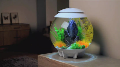 biOrb HALO 30L MCR LED Aquariums