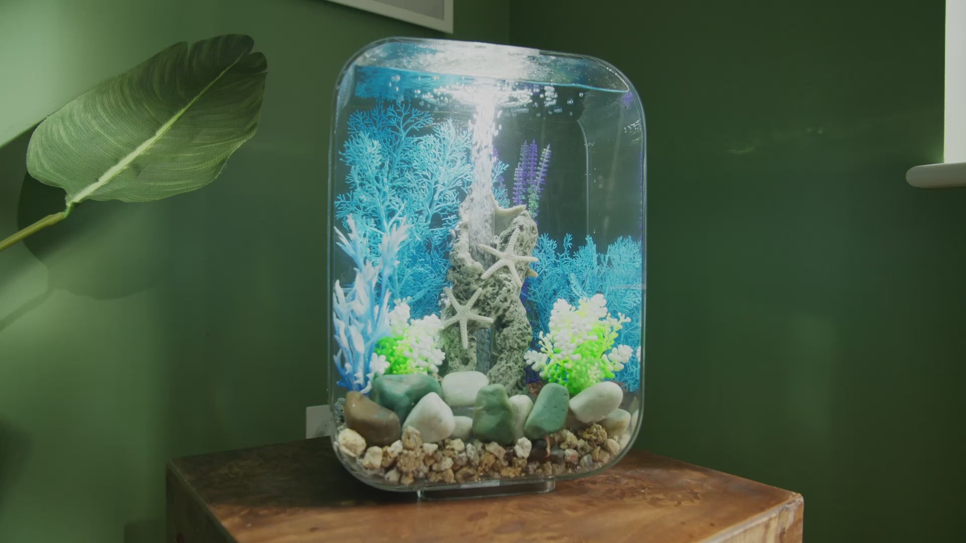 biOrb Life Portrait 30 MCR | Chic LED Aquarium Tank – Aquacadabra