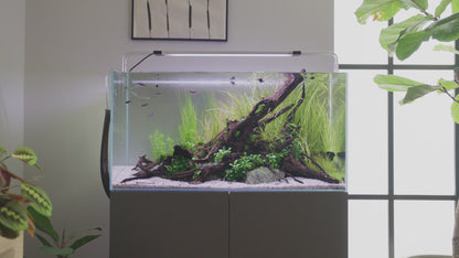 Oase CrystalSkim Aquarium Skimmers