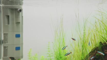 Oase BioPlus Thermo Aquarium Filtration + Heater