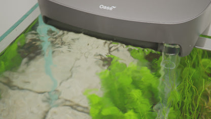 Oase BioStyle Disposable Cartridge Sets