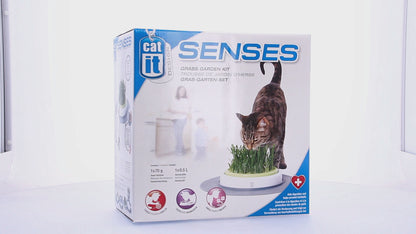 Catit Senses Grass Garden Kit Cat Interactive Toy