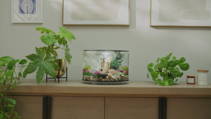 biOrb LOOP 30L Aquarium with MCR LED & 5-Step Filtration