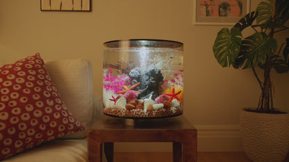 biOrb Tube 35L MCR LED Aquarium | Black/White