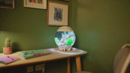 biOrb HALO 15L MCR LED Aquarium with 3D LED Lighting