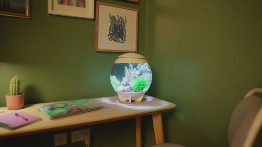 biOrb HALO 15L MCR LED Aquarium with 3D LED Lighting