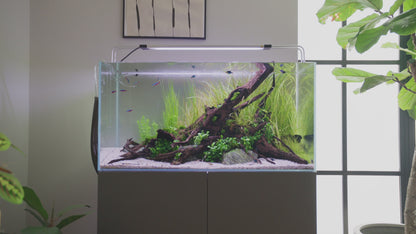 Oase ClearTronic UV Clarifier - 7W/9W/11W Options