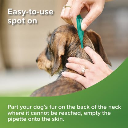 Beaphar VETOpure Small Dog Spot Flea Treatment